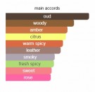 Mysterious Oud - Bortnikoff - Eau de Parfum - Unisex - 3ml thumbnail