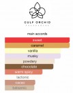 Gulf Orchid Musk Collection Toffee EDP 60 ml thumbnail
