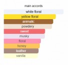 Out In The Open - A13 - Extrait de Parfum - Unisex - 3ml thumbnail