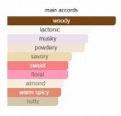 BORNTOSTANDOUT - Dirty Rice - Eau De Parfum - Unisex - 5ml thumbnail