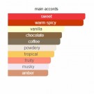 Pasion Choco - Nishane - Extrait de Parfum - Unisex - 3ml thumbnail