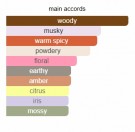 Tiger’s Eye - Attar Al Has - Extrait de Parfum - Menn - 5ml thumbnail