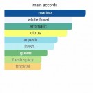 Guanabo - Renier Perfumes - Extrait de Parfum - Unisex - 10ml thumbnail