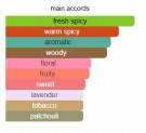 The Dua Brand - Shocker One - Extrait de parfum - 30ml thumbnail