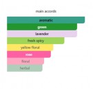 E for Women Green Fougere With Aromatic Lavender - Clive Christian - Extrait de Parfum - Damer - 5ml thumbnail