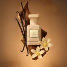 Sexy Vanilla Fragrance World EDP - 150ml thumbnail