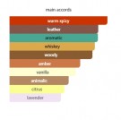 CH Men Prive - Carolina Herrera - Eau de Parfum - Menn - 10ml thumbnail