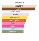 Ethereal Moonstone - Attar Al Has - Extrait de Parfum - Unisex - 10ml thumbnail