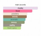 Soft Tension - Andrea Maack - Eau de Parfum - Unisex - 5ml thumbnail