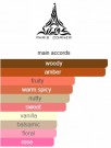 Paris Corner Bayn Al Asrar edp - 100ml thumbnail