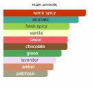 Chocman Mint - ALYSONOLDOINI - Extrait de Parfum - Menn - 5ml thumbnail