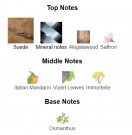 Catch You Back - Al Ambra - Extrait de Parfum - Unisex - 10ml thumbnail