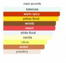 Reine de Midi - Reine de Saba - Extrait de Parfum - Unisex - 10ml thumbnail