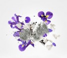 Xerjoff - Apollonia - Parfum - Unisex - 50ml thumbnail