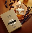 X Xandal French Avenue Aromatix 100 ml thumbnail