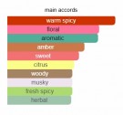 Le Notti di Goa - Palolem - Sasva - Eau de Parfum - Unisex - 10ml thumbnail