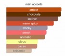 Chocola Addict French Avenue EDP - 100ml - Unisex thumbnail