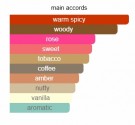 Fragrance World - Mocha Wood EDP - 100ml - Unisex thumbnail