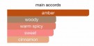 Shabaz Amber Athoor Al Alam EDP - 100ml - Unisex thumbnail