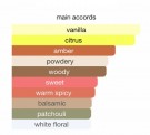 French Avenue Zenith Vanilla EDP - 100ml thumbnail