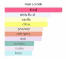 Wabar Xerjoff - Eau de Parfum - Damer - 10ml thumbnail
