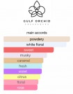 Gulf Orchid - Musk Collection Cotton Candy EDP 60 ml  thumbnail