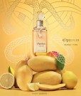 Ophidian Mango Bliss Paris Corner EDP 100ml thumbnail