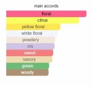 Love in White - Creed - Eau de Parfum - Damer - 3ml thumbnail