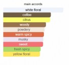 2021 Nights - Renier Perfumes - Extrait de Parfum - Unisex - 3ml thumbnail