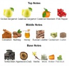 Cuir d'Encens - ALYSONOLDOINI - Extrait de Parfum - Menn - 10ml thumbnail