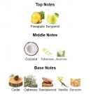 Coco Moon - Beach Geeza - Eau de Parfum - Unisex - 10ml thumbnail