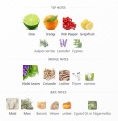 Colosseum - Christian Provenzano Parfums - Extrait de Parfum - Unisex - 3ml thumbnail