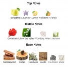 Caro Barbiere - ALYSONOLDOINI - Extrait de Parfum - Unisex - 5ml thumbnail