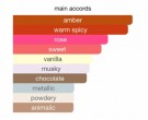 Karus Secret Musk EDP - 100ml thumbnail
