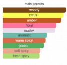 Yellow Splash - Attar Al Has - Extrait de Parfum - Unisex - 5ml thumbnail