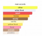 JTC 400 - Xerjoff - Eau de Parfum - Unisex - 5ml thumbnail