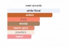 White Amber - Creed - Eau de Parfum - Unisex - 3ml thumbnail