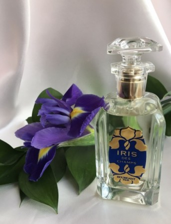 Iris des Champs - Houbigant - Eau de Parfum - Damer - 3ml