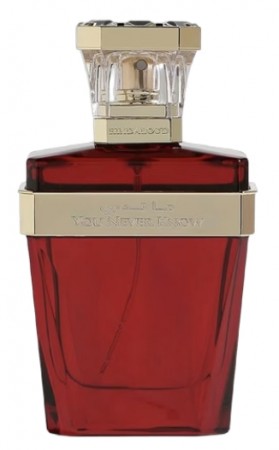 You Never Know - Hind Al Oud - Eau de Parfum - Unisex - 3ml