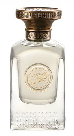 Shaghaf Anfas - Unisex