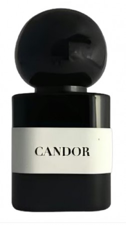 Candor Chapel Factory - Unisex